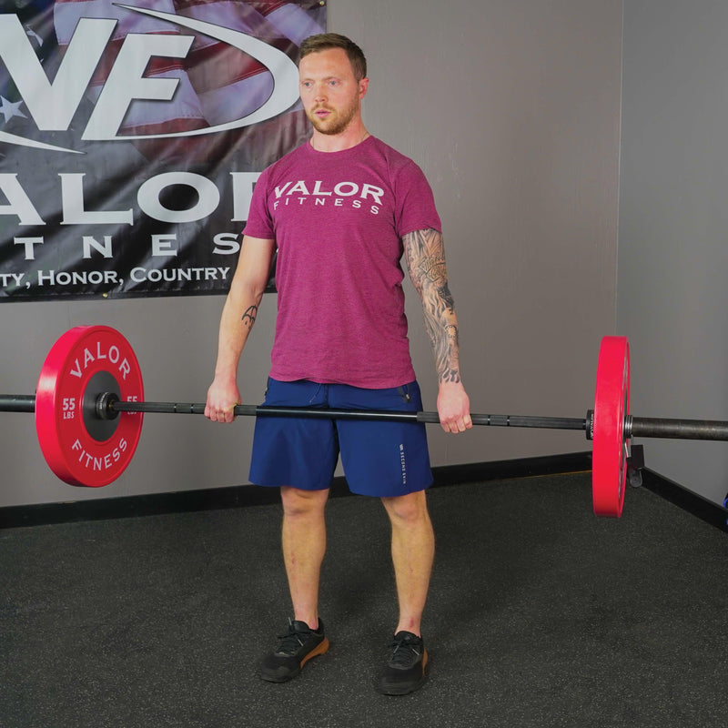 Load image into Gallery viewer, Valor Fitness - Competition Rubber Bumper Plates (LB)