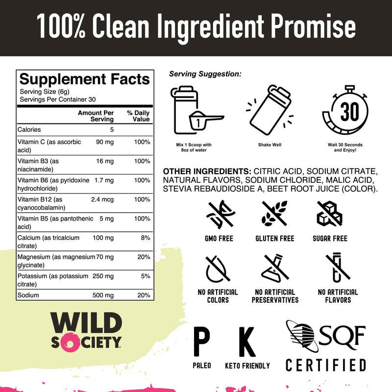 Load image into Gallery viewer, Wild Society Nutrition - Electrolyte Drink Mix