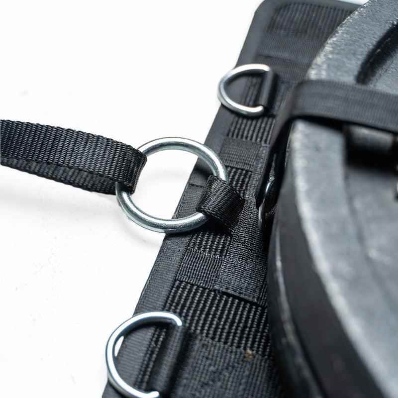 Load image into Gallery viewer, Mark Bell Sling Shot- Stealth Sled