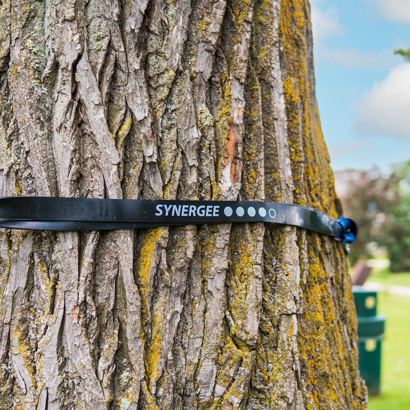 Load image into Gallery viewer, Synergee - Resistance Power Bands