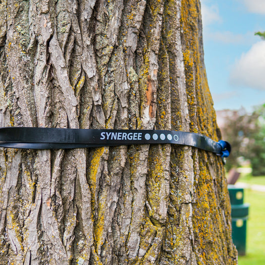 Synergee - Resistance Power Bands