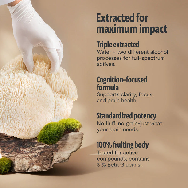 Load image into Gallery viewer, FreshCap Mushrooms - Organic Lion’s Mane Mushroom Powder