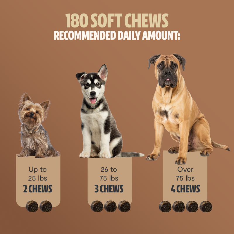 Load image into Gallery viewer, FreshCap Mushrooms - Shroomies® Organic Mushroom Complex for Dogs