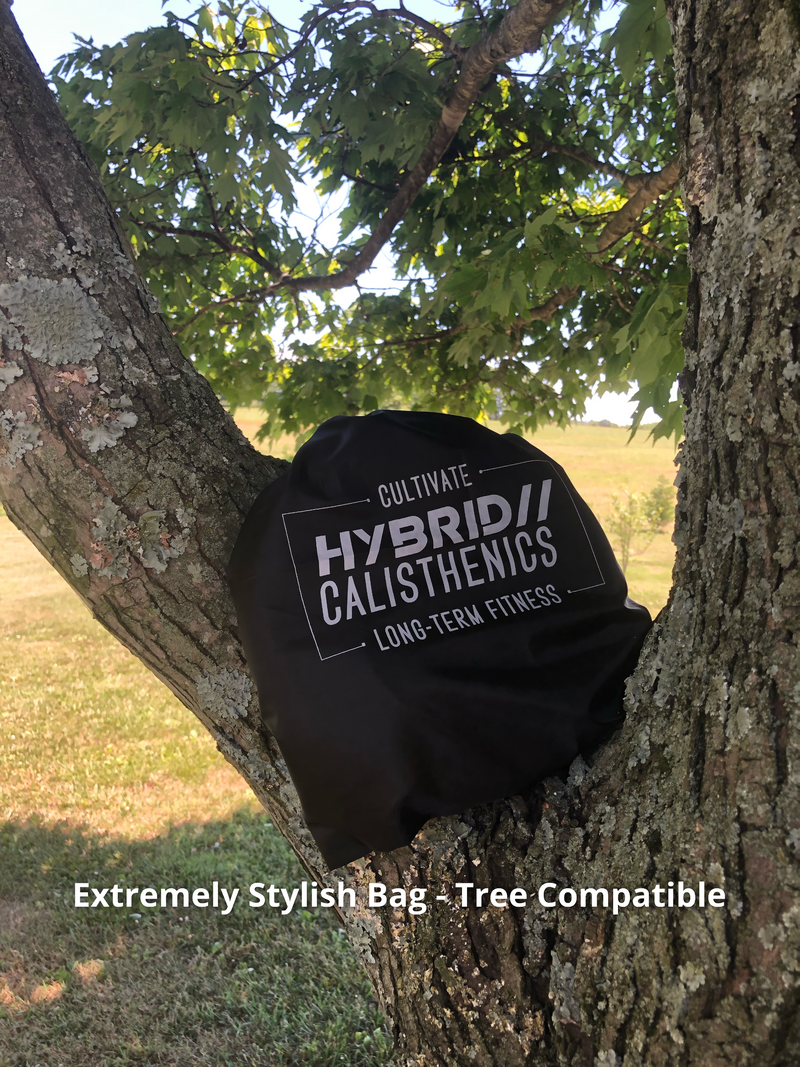 Load image into Gallery viewer, Hybrid Calisthenics Shop - Gymnastic Rings (Pre-Order)