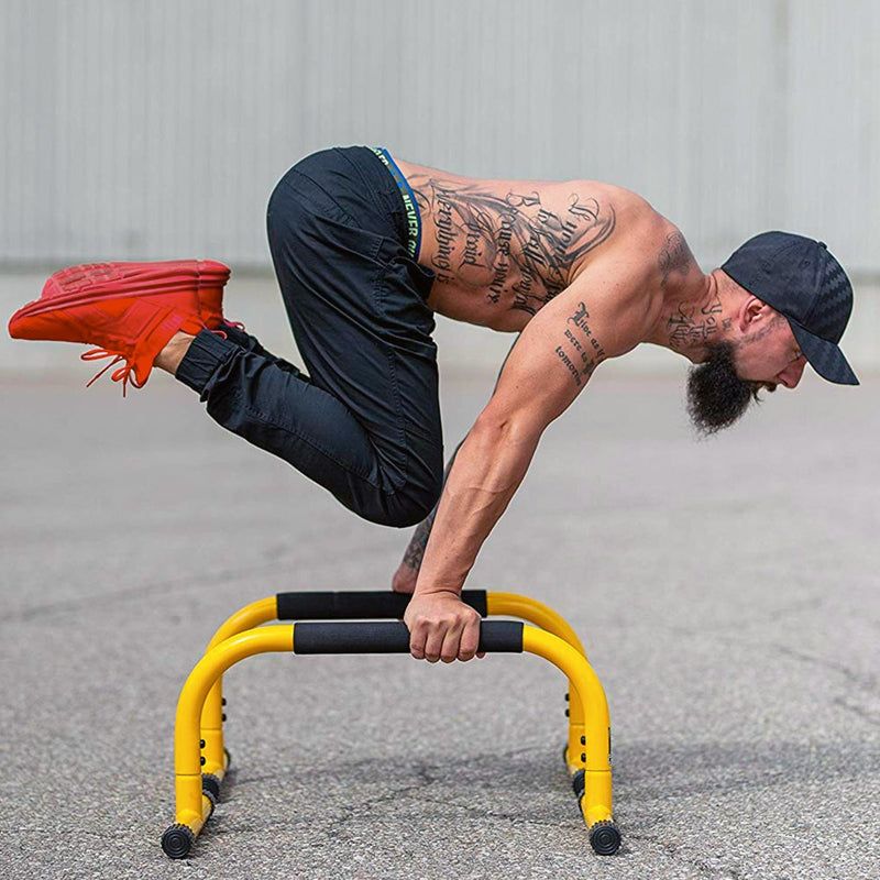 Load image into Gallery viewer, Lebert Parallettes Bars