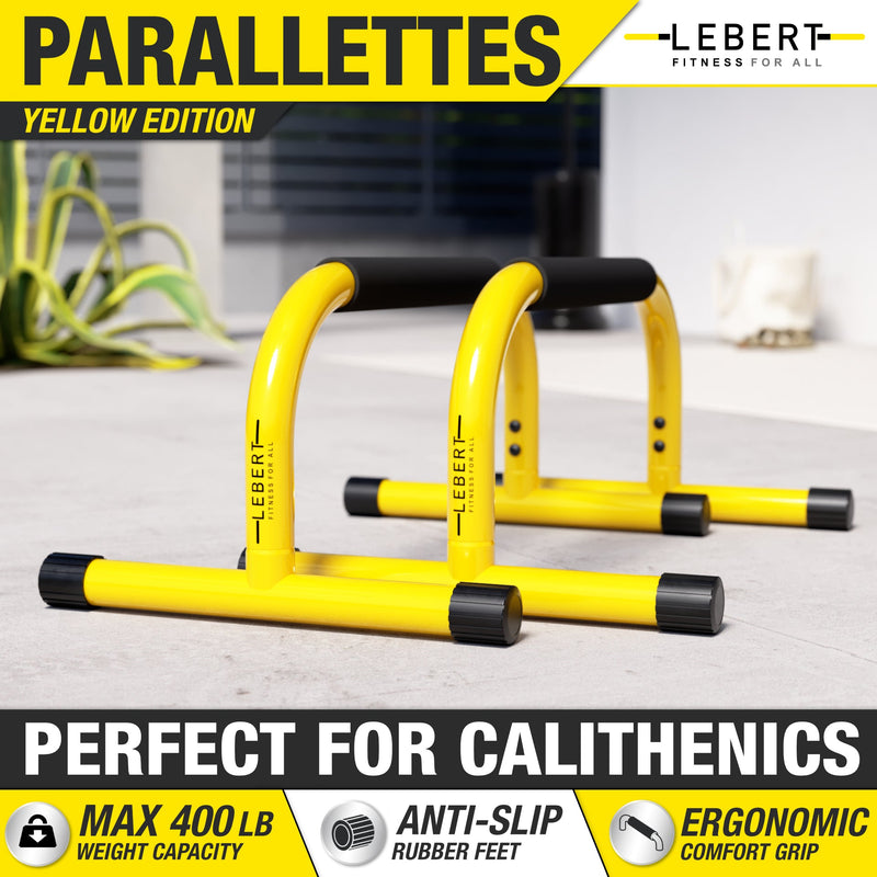 Load image into Gallery viewer, Synergee - Lebert Fitness Parallette Bars (Calisthenics)