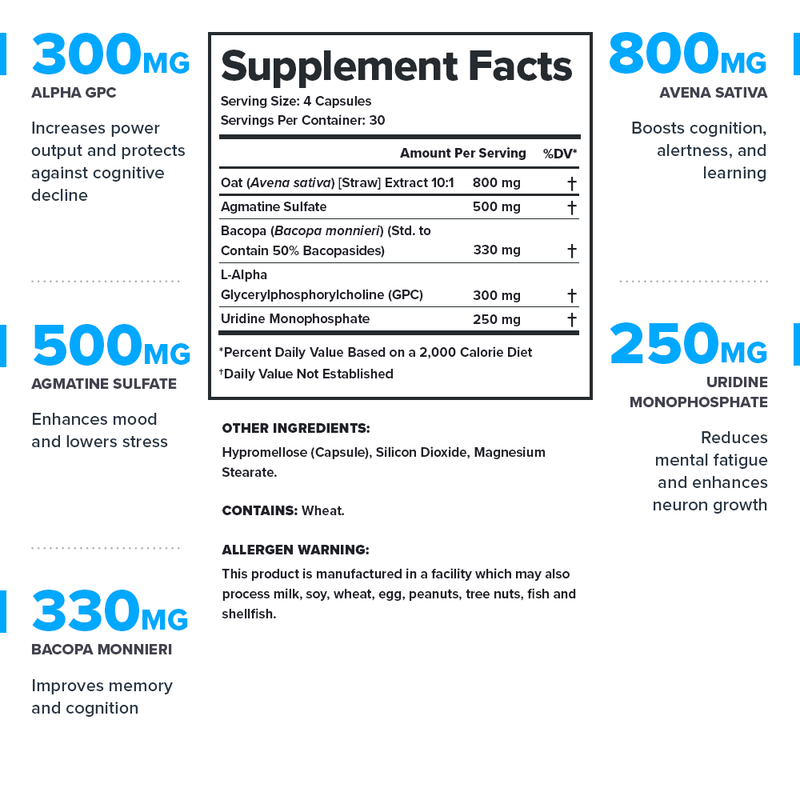 Load image into Gallery viewer, Legion Athletics - Ascend Nootropic