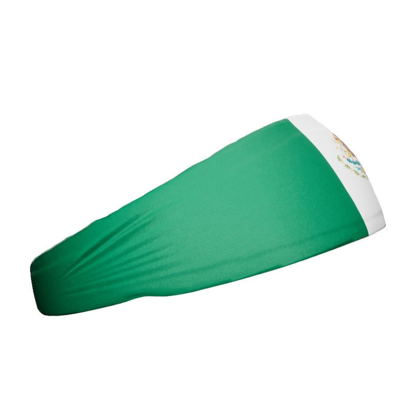 Load image into Gallery viewer, Elite Athletic Gear - Mexico Flag Headband