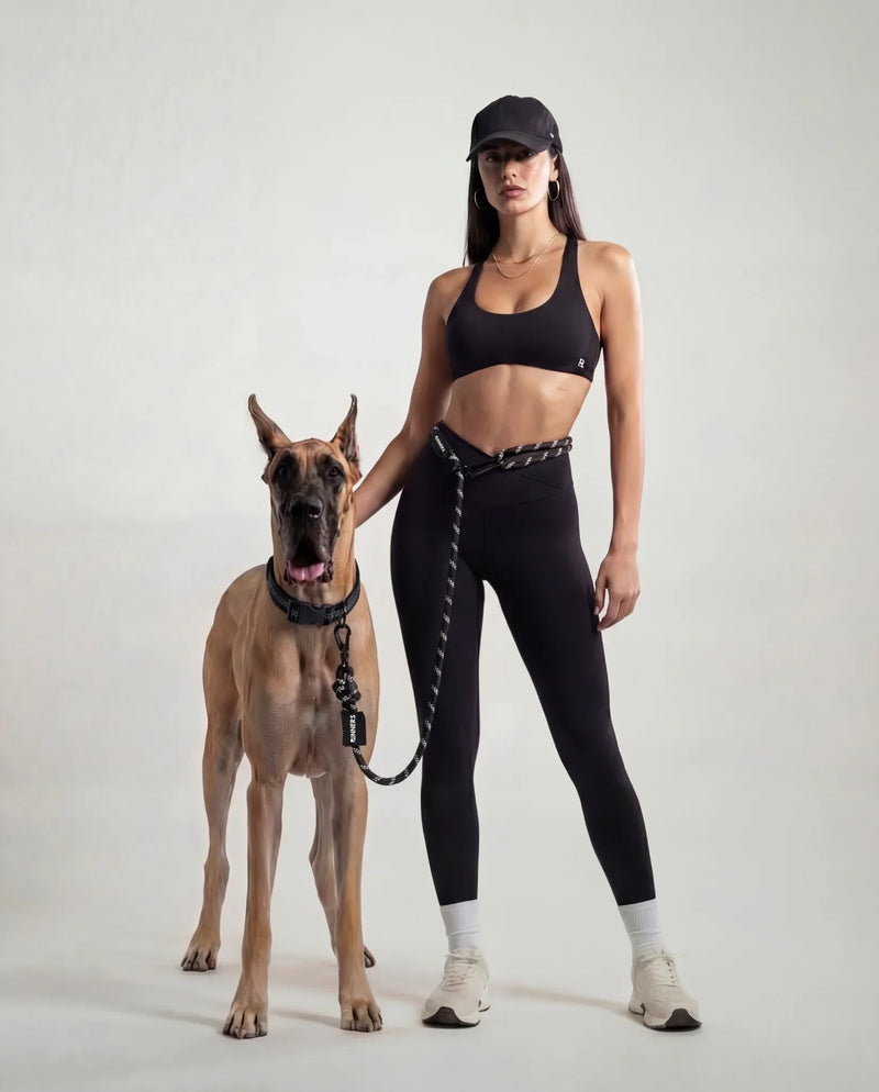Load image into Gallery viewer, Blackout Running Hands-Free Dog Leash