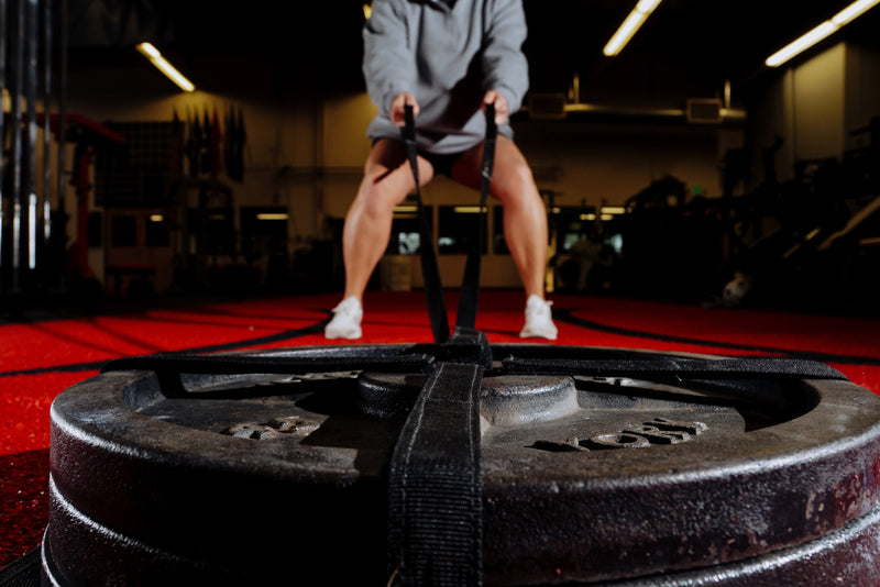 Load image into Gallery viewer, Mark Bell Sling Shot- Stealth Sled