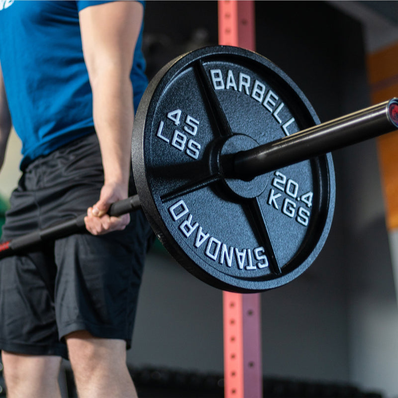 Load image into Gallery viewer, Synergee - Standard Metal Weight Plates