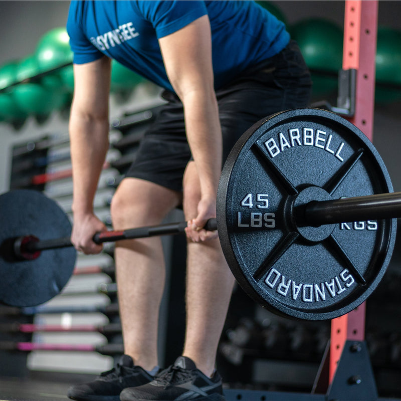 Load image into Gallery viewer, Synergee - Standard Metal Weight Plates