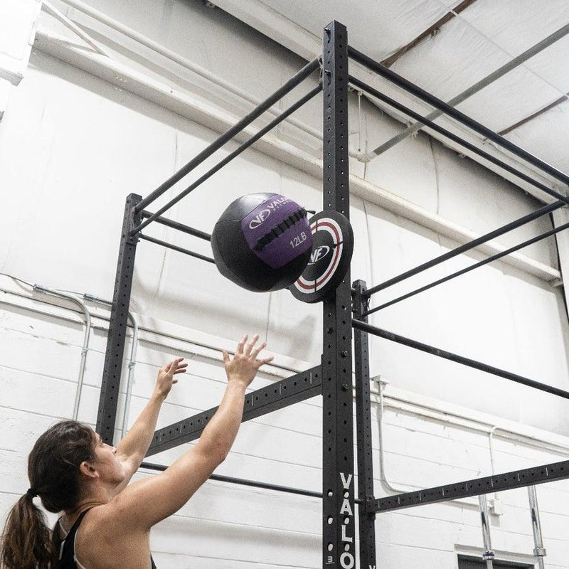 Load image into Gallery viewer, Valor Fitness - Wall Balls (6-25lbs)