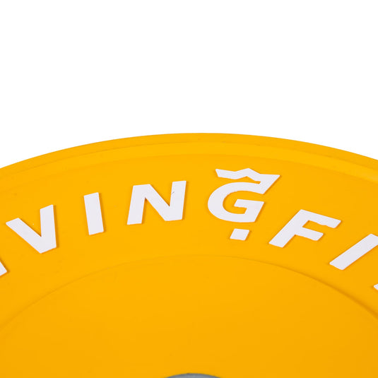 Bumper Plates – Durable, High-Performance Weight Plates