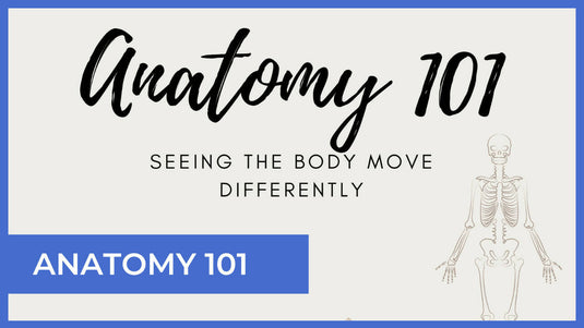 Anatomy 101 Course
