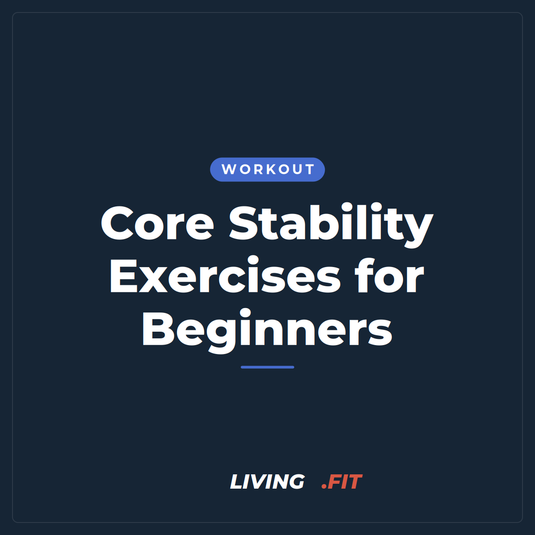 Core Stability Exercises for Beginners