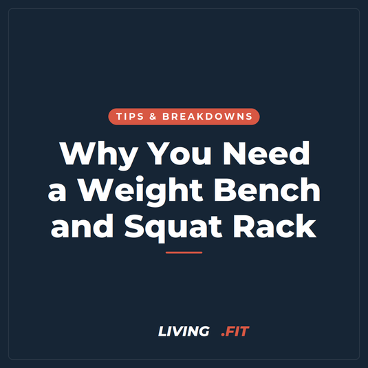 Why You Need a Weight Bench and Squat Rack