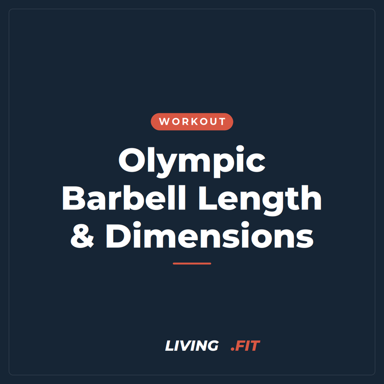Olympic Barbell Length & Dimensions