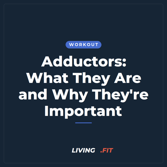 Adductors: What They Are and Why They're Important