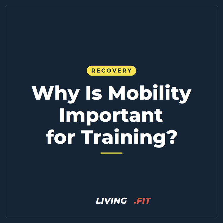 Why Is Mobility Important for Training?