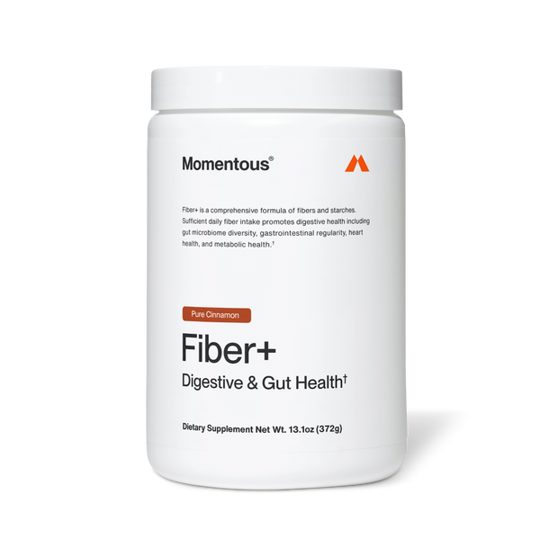 Gut Health & Digestion