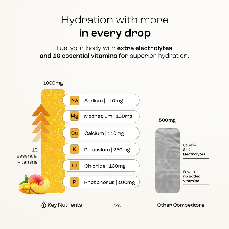Load image into Gallery viewer, Key Nutrients - Electrolyte Recovery Plus Powder (Sugar-Free)
