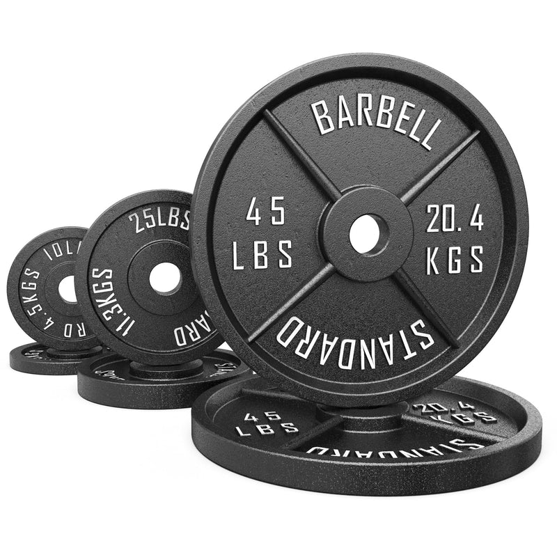 Load image into Gallery viewer, Synergee Standard Metal Weight Plates
