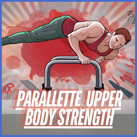 Body power parallettes best sale