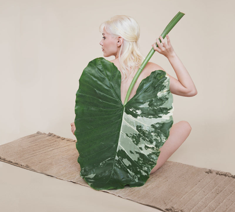 Load image into Gallery viewer, Clay - Naturally Dyed Herbal Yoga Mat
