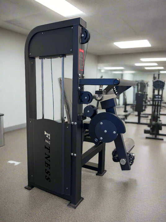 SFE Seated Selectorized Leg Extension & Leg Curl Machine (New)