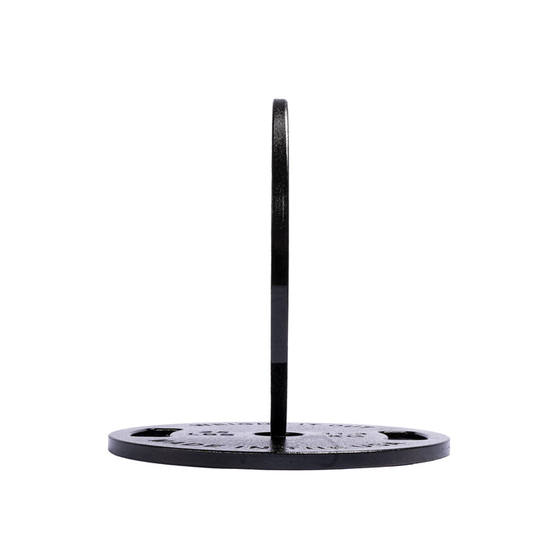 Load image into Gallery viewer, Weight It Out - Cast Iron Machined Weight Plate Pairs
