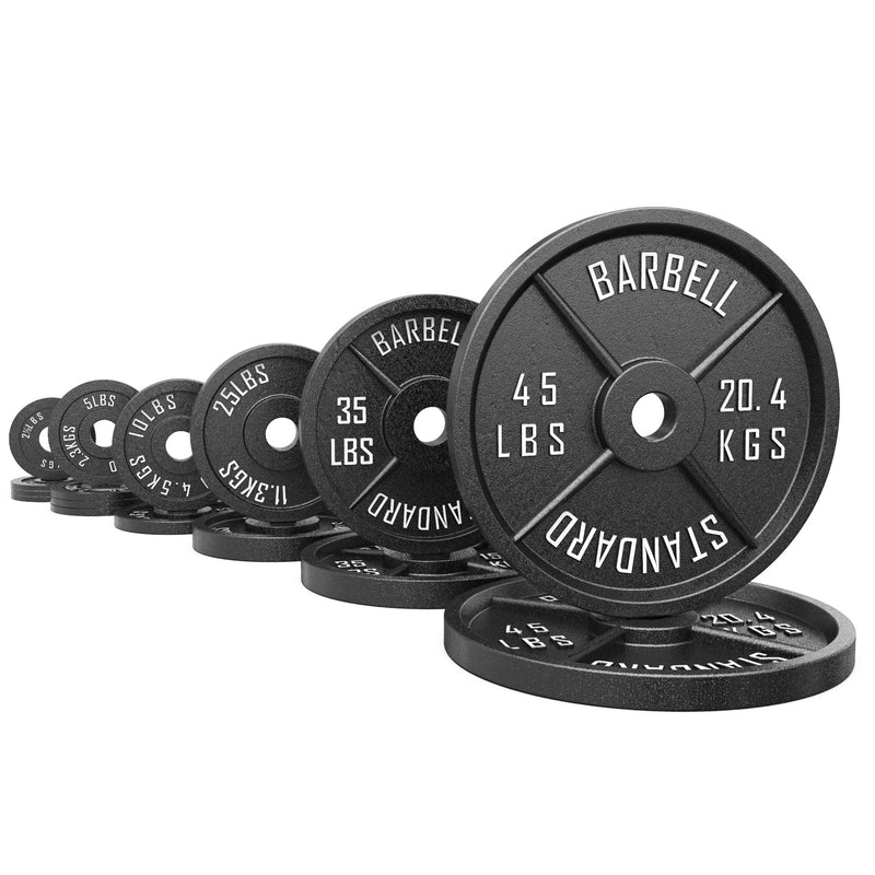 Load image into Gallery viewer, Synergee Standard Metal Weight Plates
