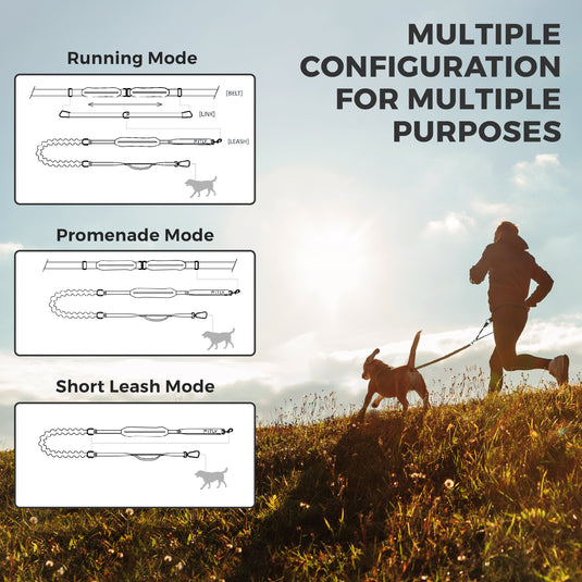 FITLY - Running Belt + Dog Leash - Canicross System