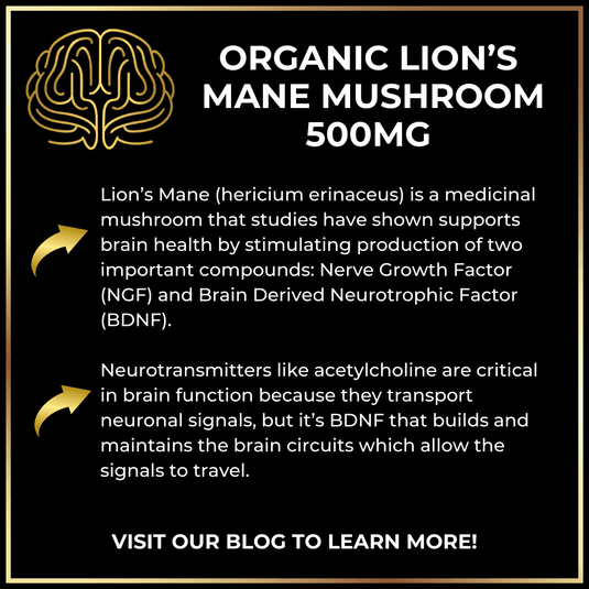 Keto Brainz Nootropics - In KBZ Long Handled Spoon+ Keto Brainz Nootropic Creamer Properly Capitalize The First Letter Of Every Word