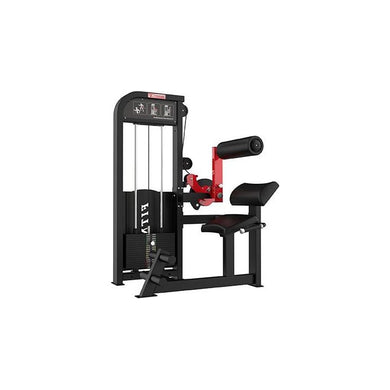 SFE - Commercial Back & Abdominal Combo Machine (New)