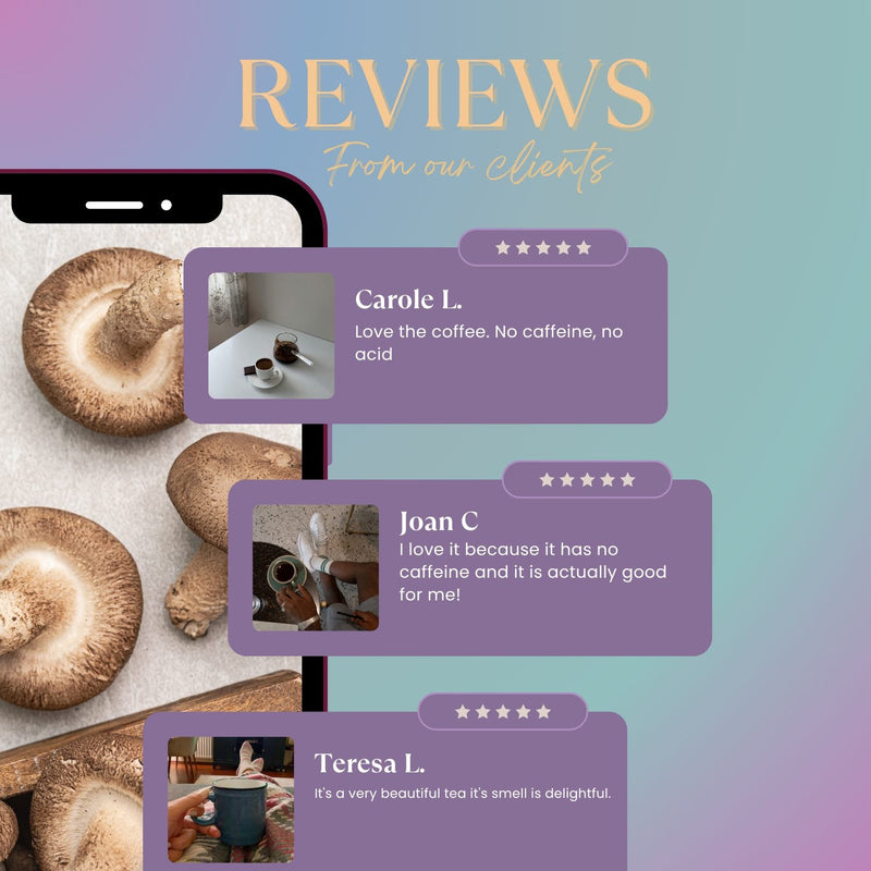 Load image into Gallery viewer, Teeccino - Chaga Ashwagandha Butterscotch Cream Mushroom Herbal Tea
