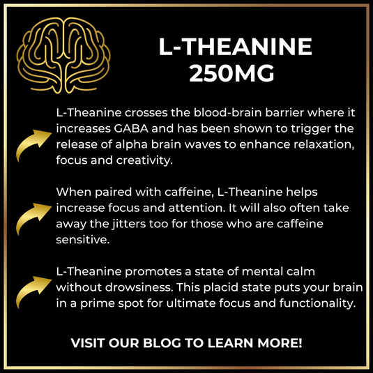 Keto Brainz Nootropics - In KBZ Long Handled Spoon+ Keto Brainz Nootropic Creamer Properly Capitalize The First Letter Of Every Word