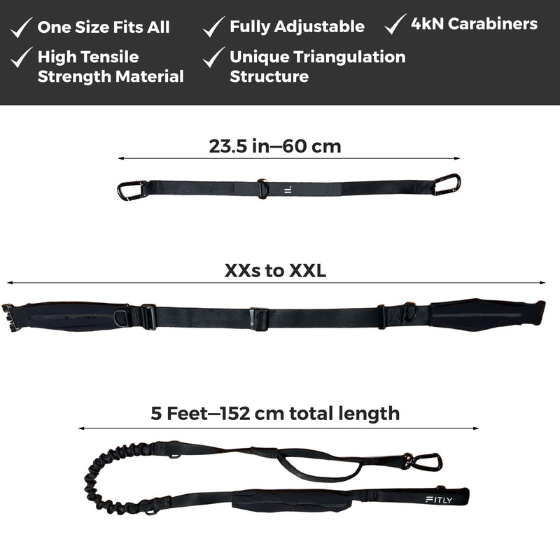 Load image into Gallery viewer, FITLY - Running Belt + Dog Leash - Canicross System
