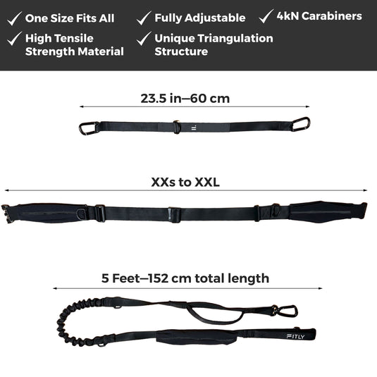 FITLY - Running Belt + Dog Leash - Canicross System