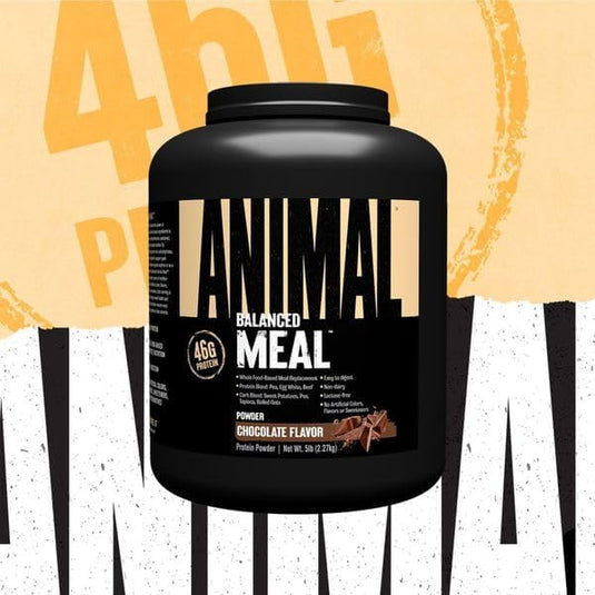 Animal Meal - Protein Supplements
