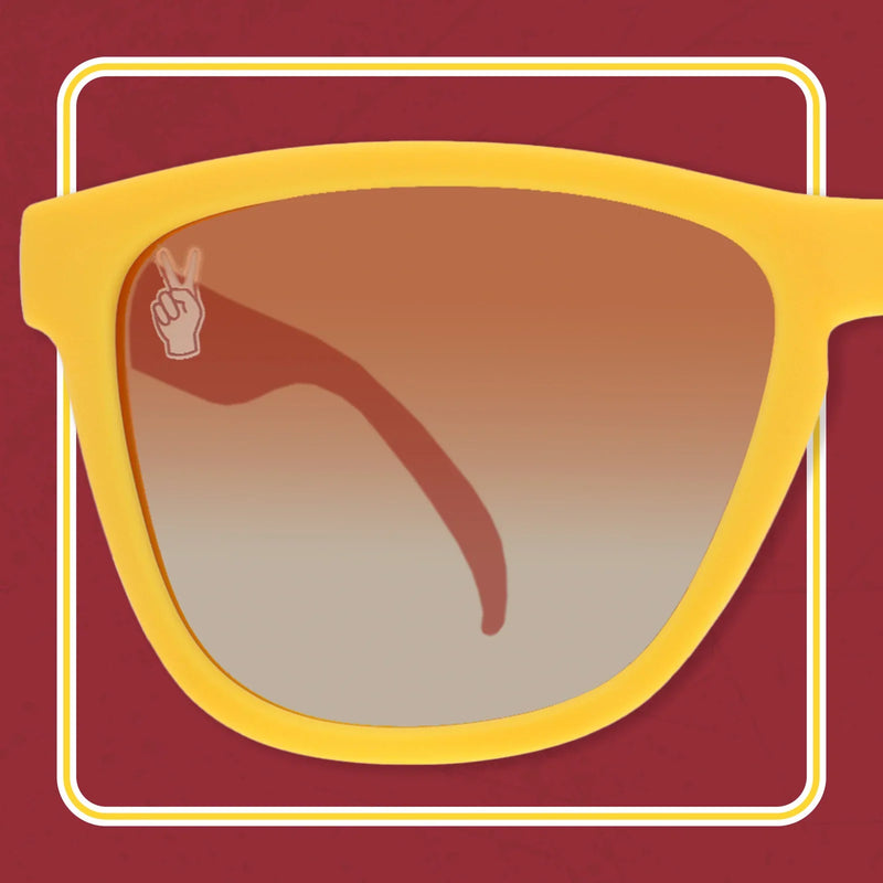 Load image into Gallery viewer, OG goodr The Sunnies of Troy
