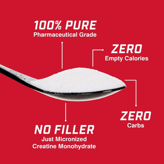 Prolab Nutrition - Micronized Creatine Monohydrate Powder