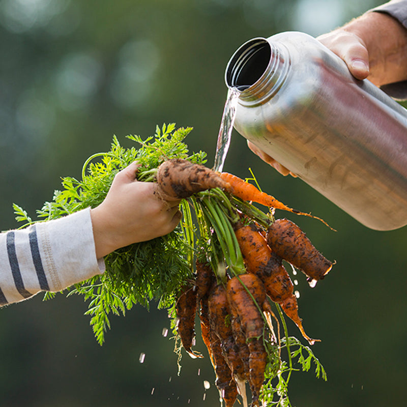 Load image into Gallery viewer, Klean Kanteen - 64oz Wide with Loop Cap

