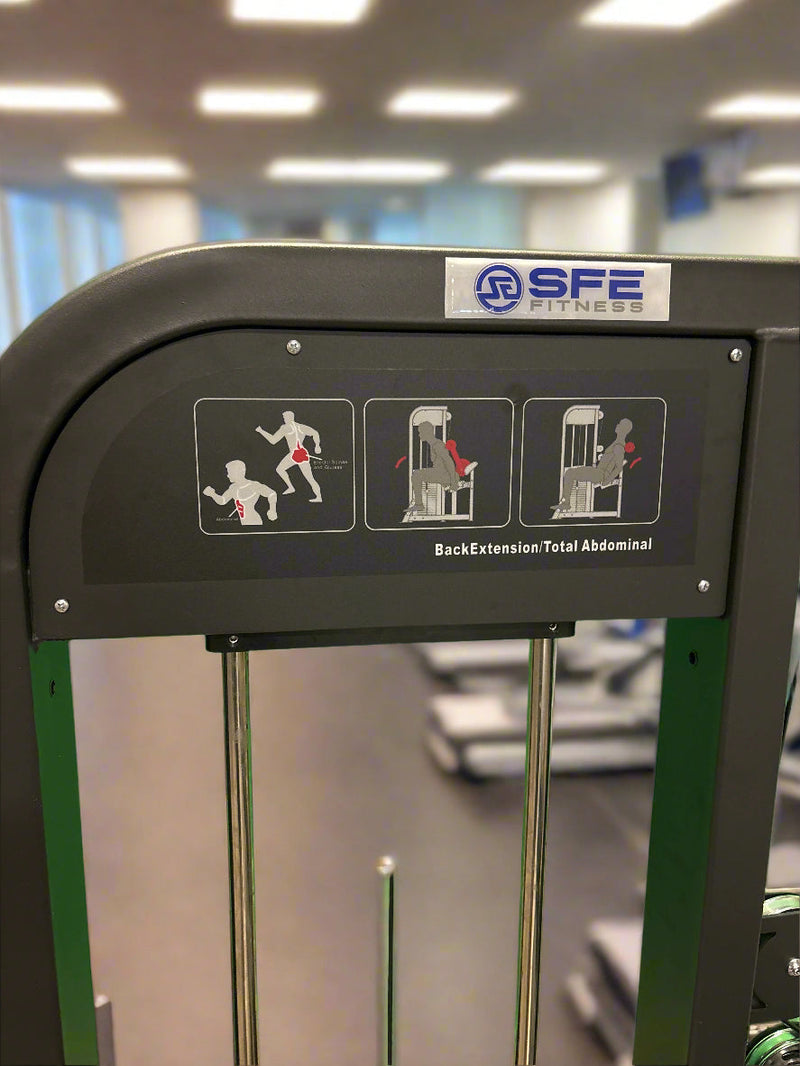 Load image into Gallery viewer, SFE Commercial Back &amp; Abdominal Combo Machine (New)
