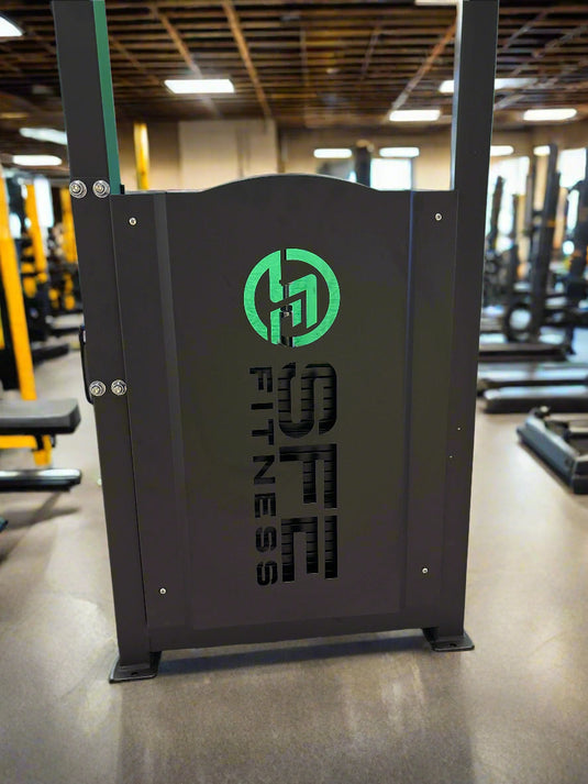 SFE Commercial Back & Abdominal Combo Machine (New)