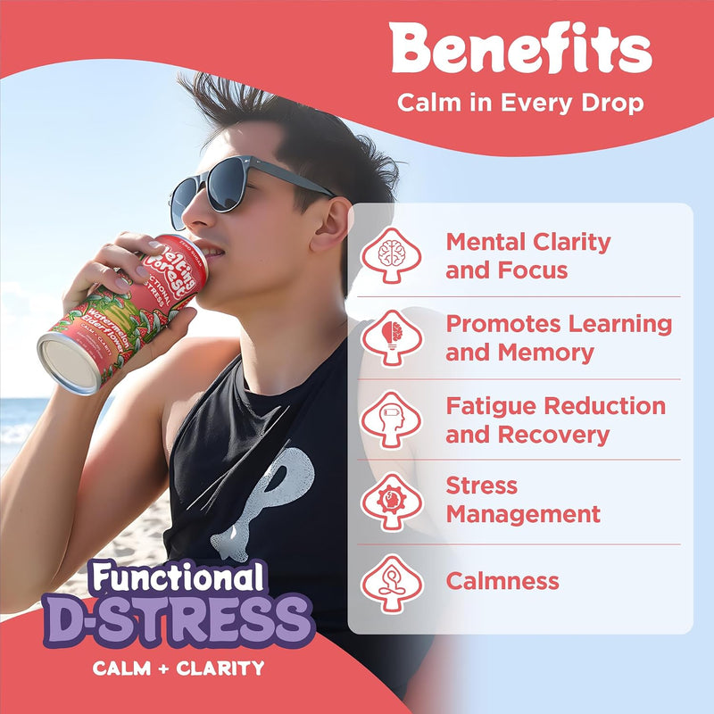 Load image into Gallery viewer, Melting Forest - Mushroom D-Stress Drink 12 Pack - Watermelon Elderflower
