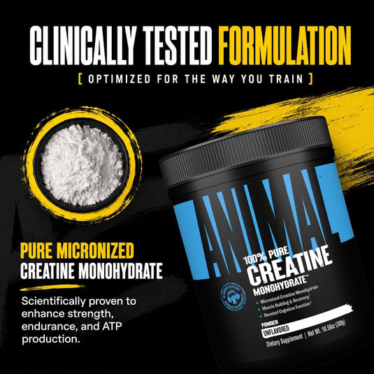 Animal - Creatine Monohydrate Powder