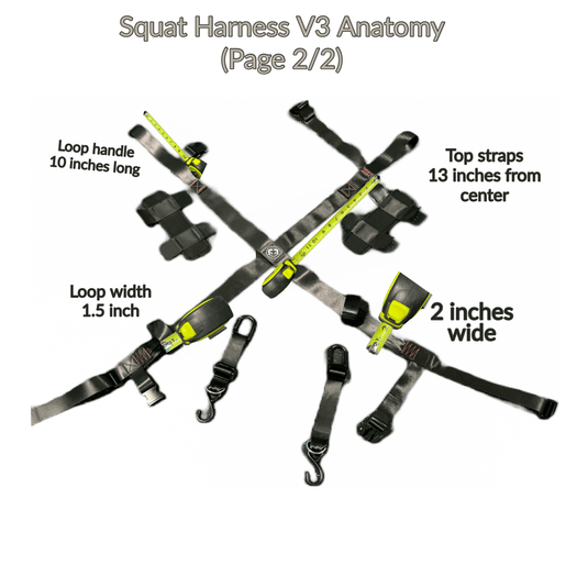 Squat Harness - Premium Adjustable V3