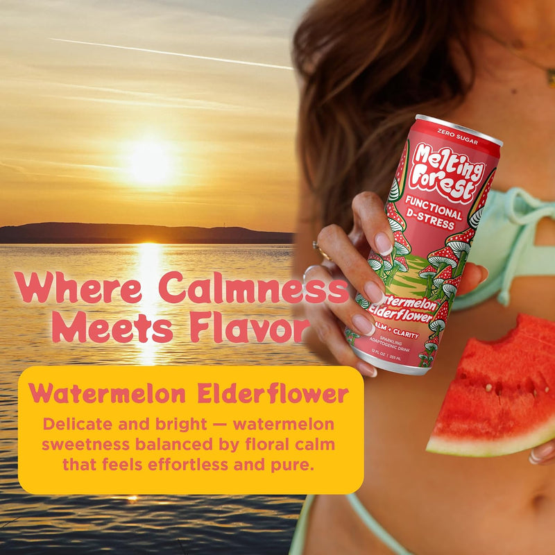 Load image into Gallery viewer, Melting Forest - Mushroom D-Stress Drink 12 Pack - Watermelon Elderflower

