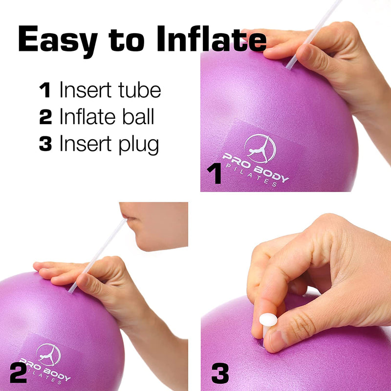 Load image into Gallery viewer, ProBody Pilates - 9 Inch Small Exercise Ball for Stability, Barre, Pilates, Yoga, and Balance
